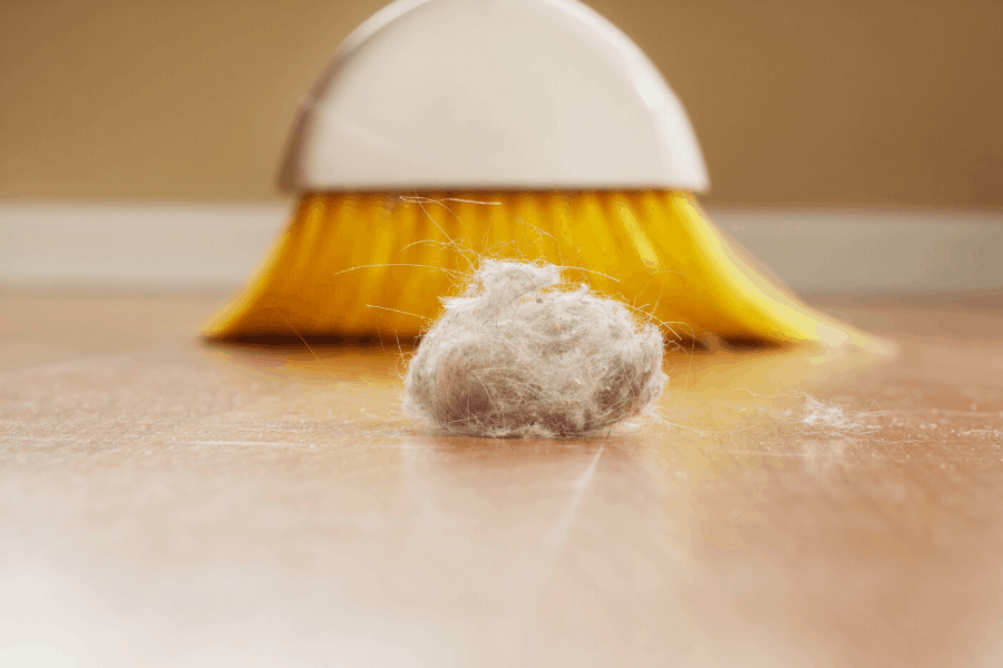 broom with dust